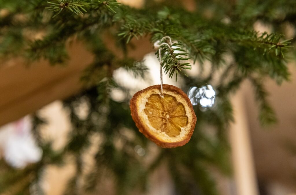 Stone-dried orange slices in greenery