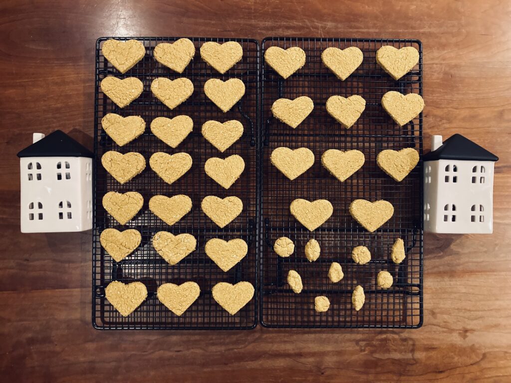 Peanut Butter-Pumpkin Dog treats on cooling rack