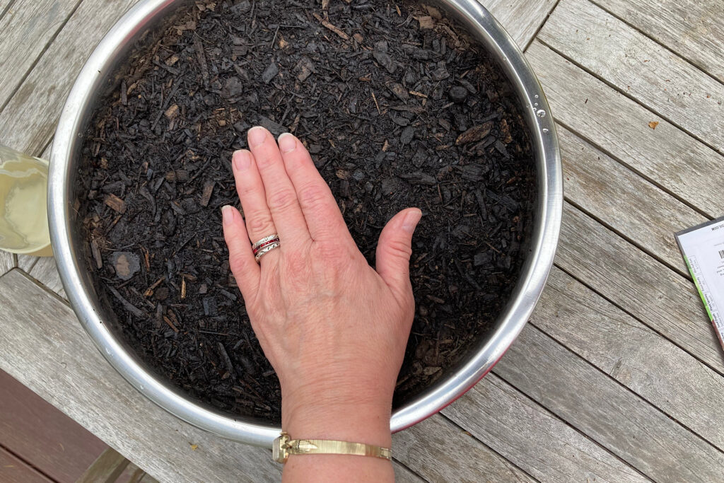 PressingWild Za'atar Seeds Into Potting Mix