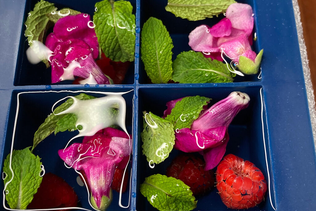 Clear Decorative Floral Ice Cubes Compartment Tray