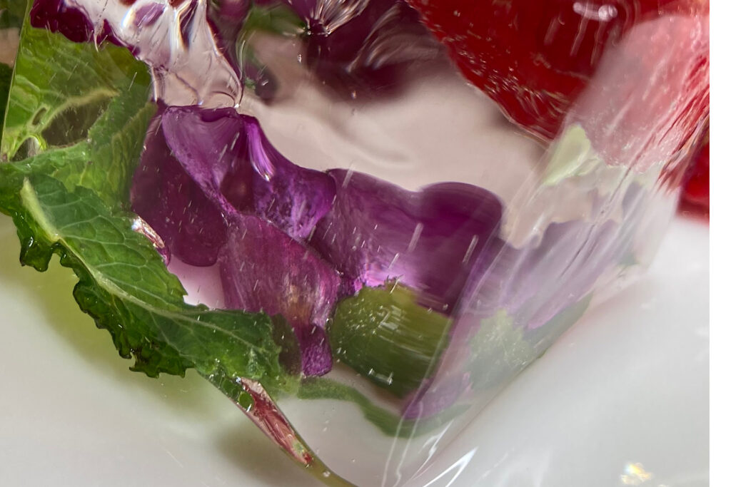 Clear Decorative Floral Ice Cube for Entertaining