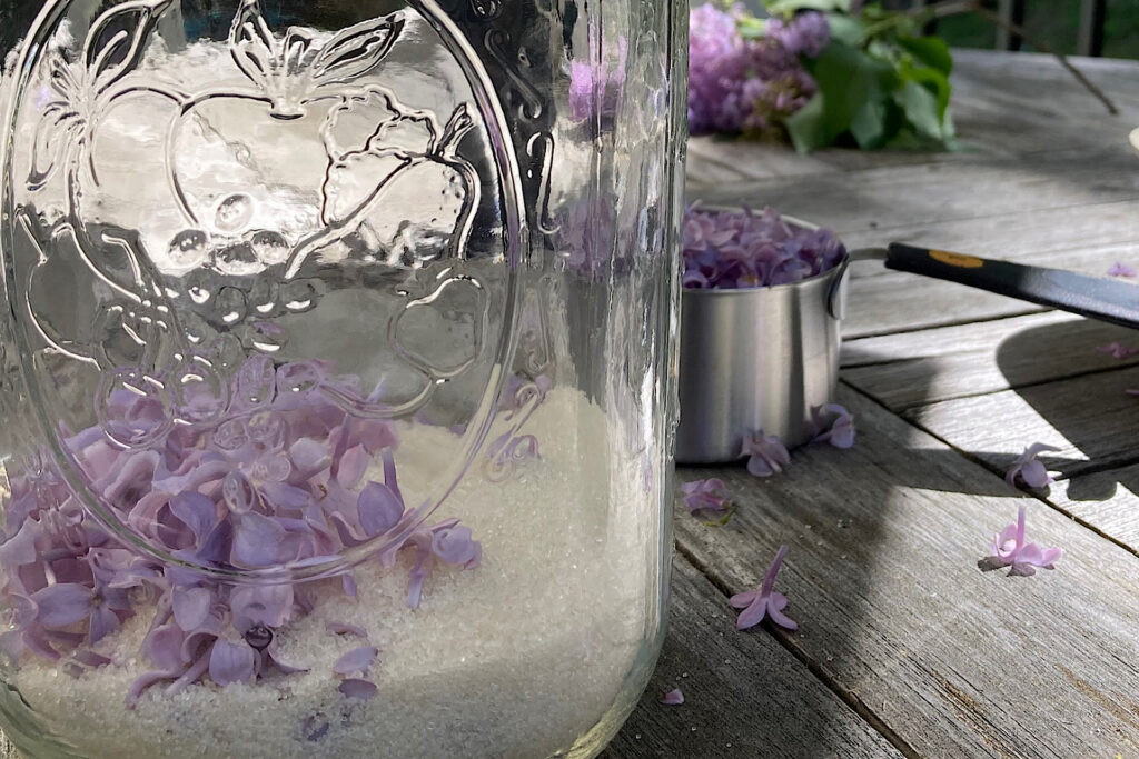 First Layer Mason Jar Spring Lilac Sugar