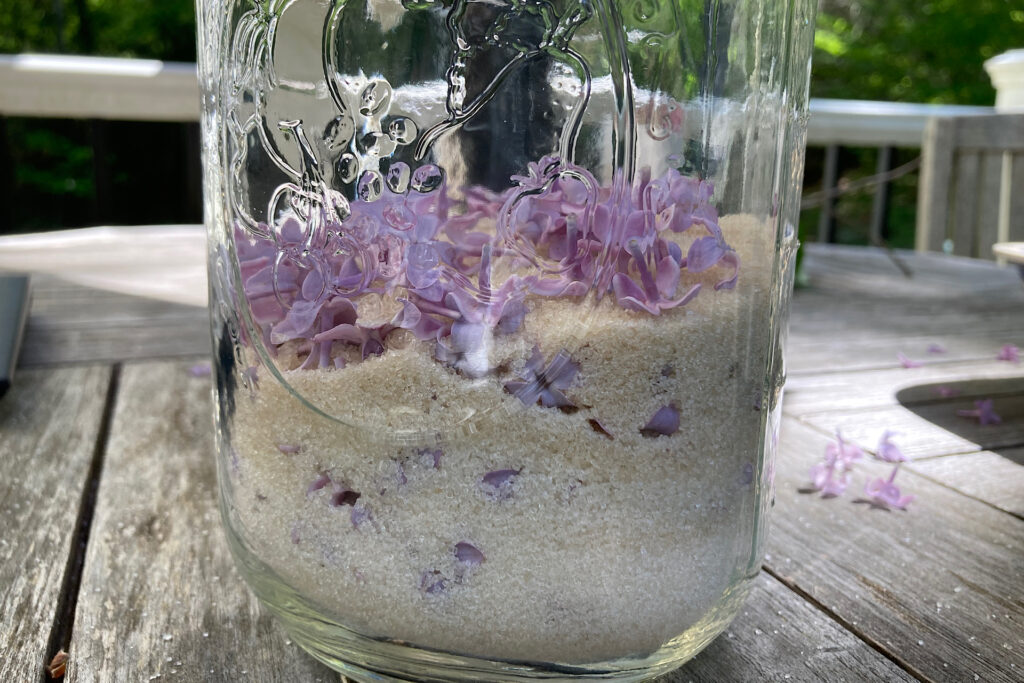 Second Layer Mason Jar Spring Lilac Sugar