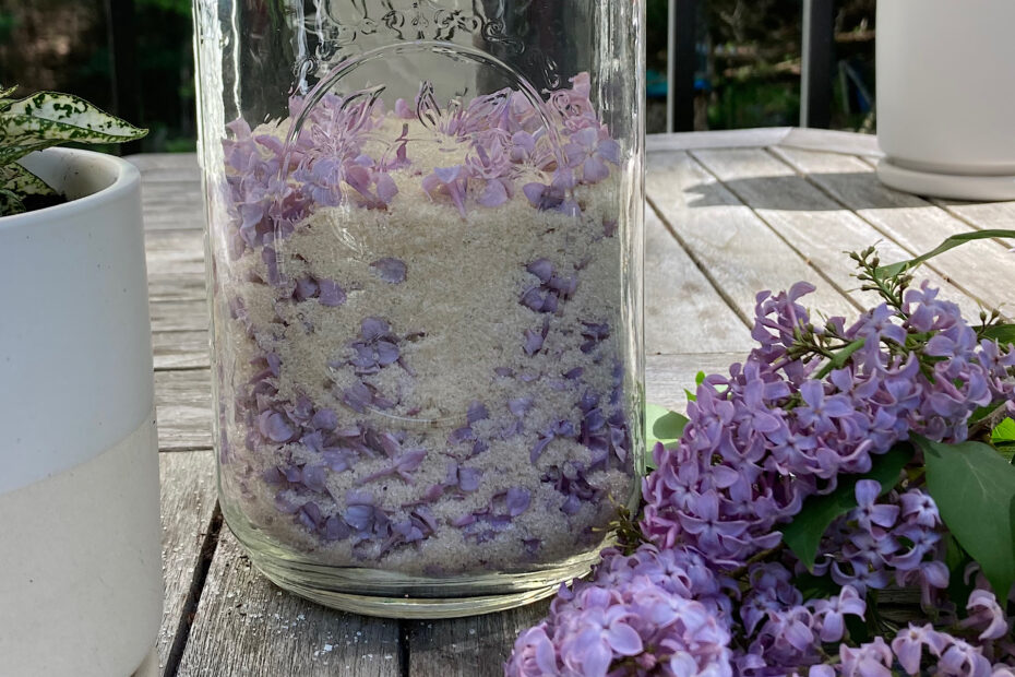 Spring Lilac Sugar with Blossoms