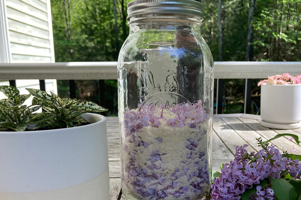 Spring Lilac Sugar In canning Jar