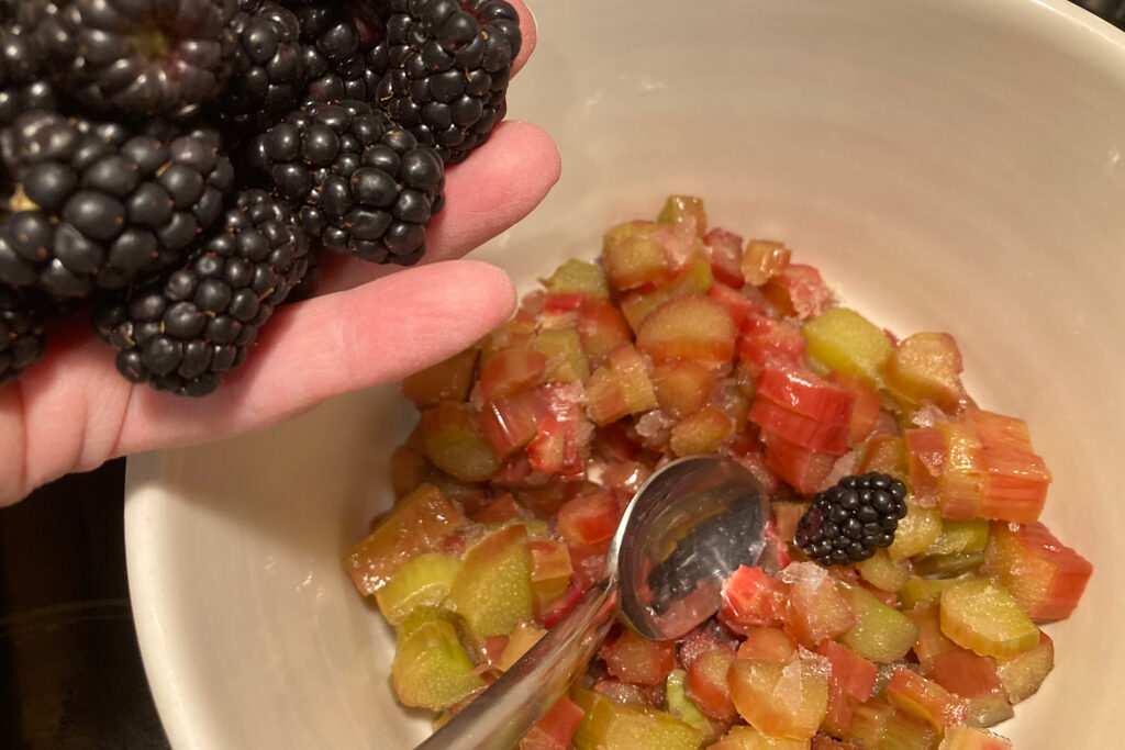 Rhubarb and Blackberries in Bowl