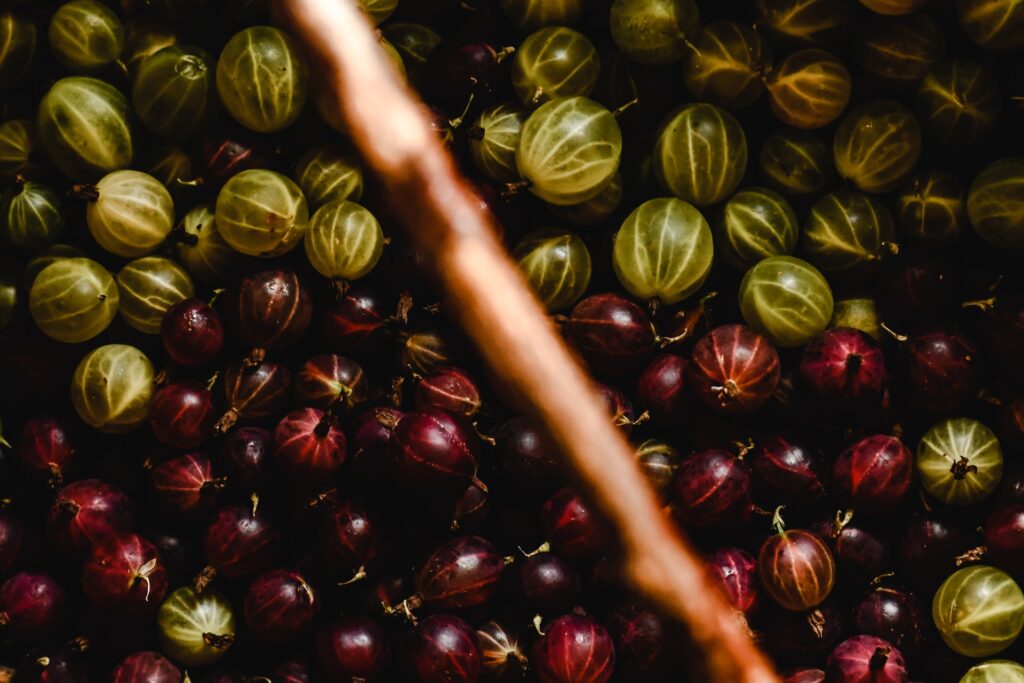 Red and Green Gooseberries