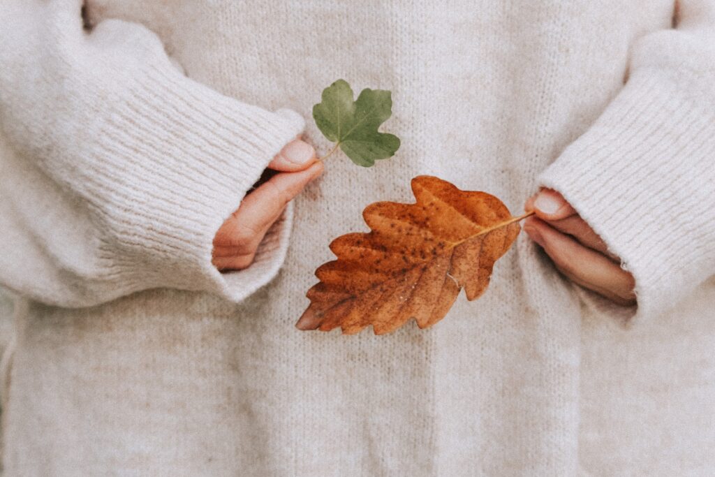 Cozy Fall Sweater and Autumn Leaves