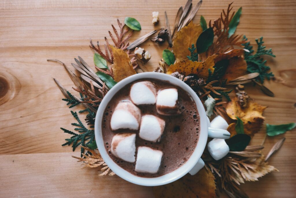 Pumpkin Spice Hot Cocoa with Marshmallows