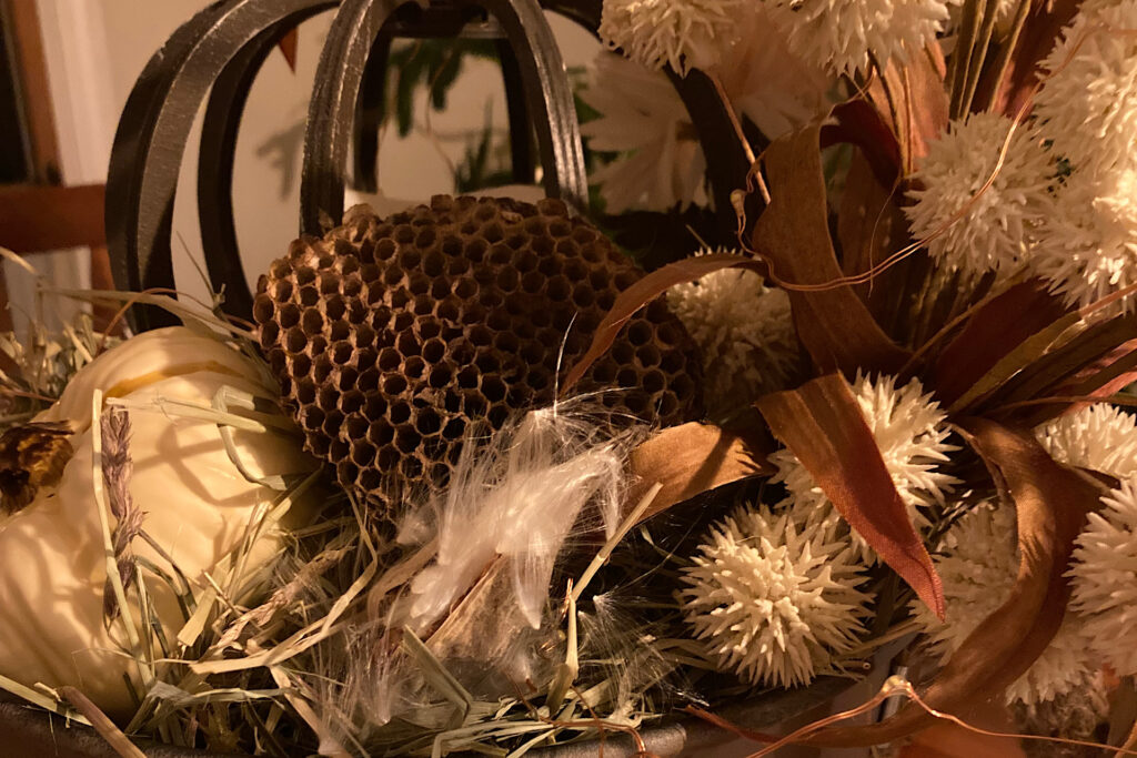 Closeup of milkweed accent in fall arrangement