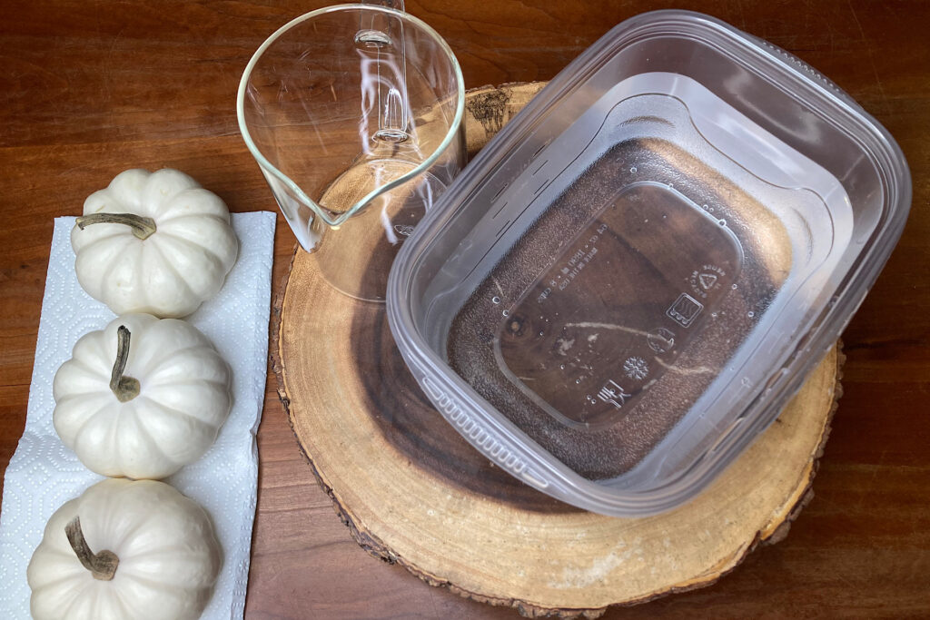 Waterbath, pumpkins and measuring cup for crafting.