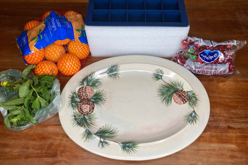 Groceries and Ice Tray for Citrus Bloom Ice Cubes