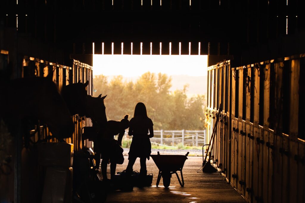 backlit stable aisle with people, wheelbarrow and horses