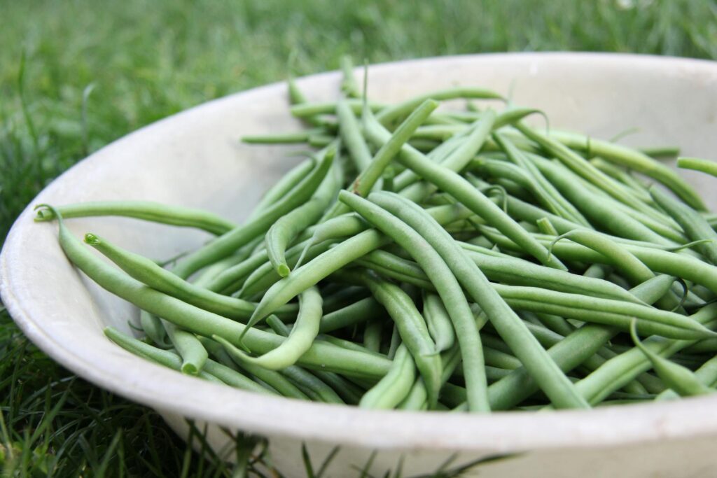 green beans in white bowl