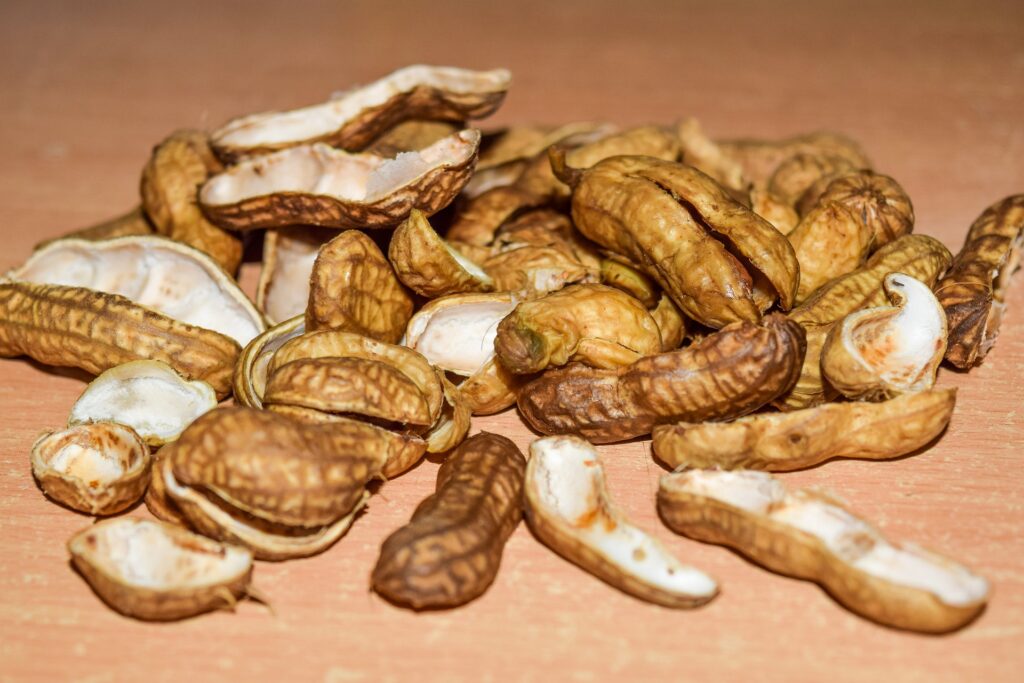 peanut shells closeup