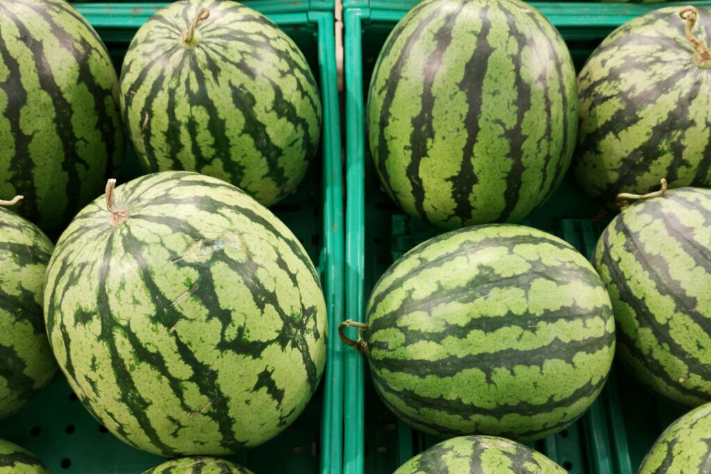 watermelons in storage bins