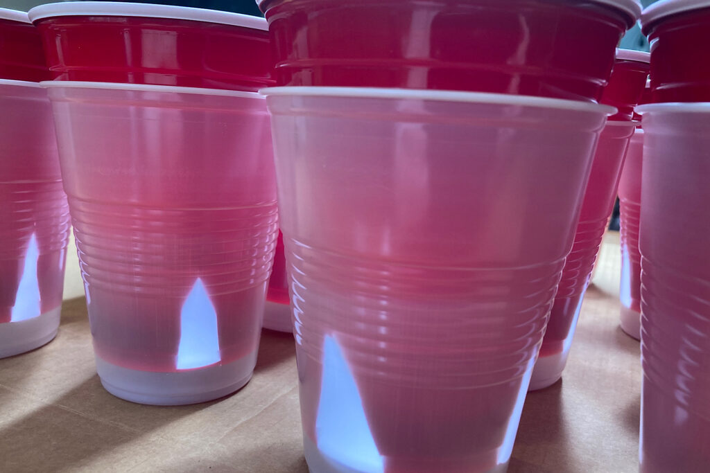 red and clear solo cups for tomato seed planting