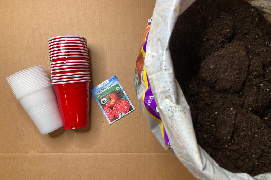 open bag of potting mix, solo cups and seed packet