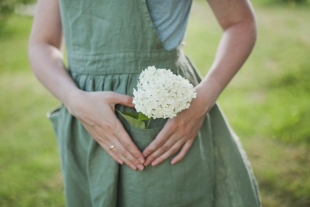 Hydrangea bloom in woman's pocket.