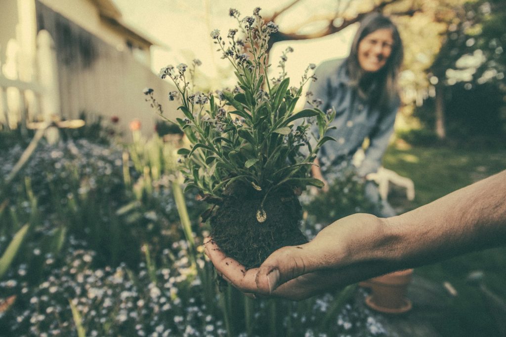 planting and laughing in the garden