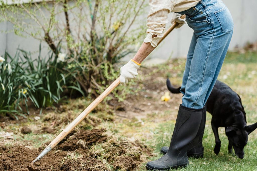 Woman Hoeing Garden with Dog