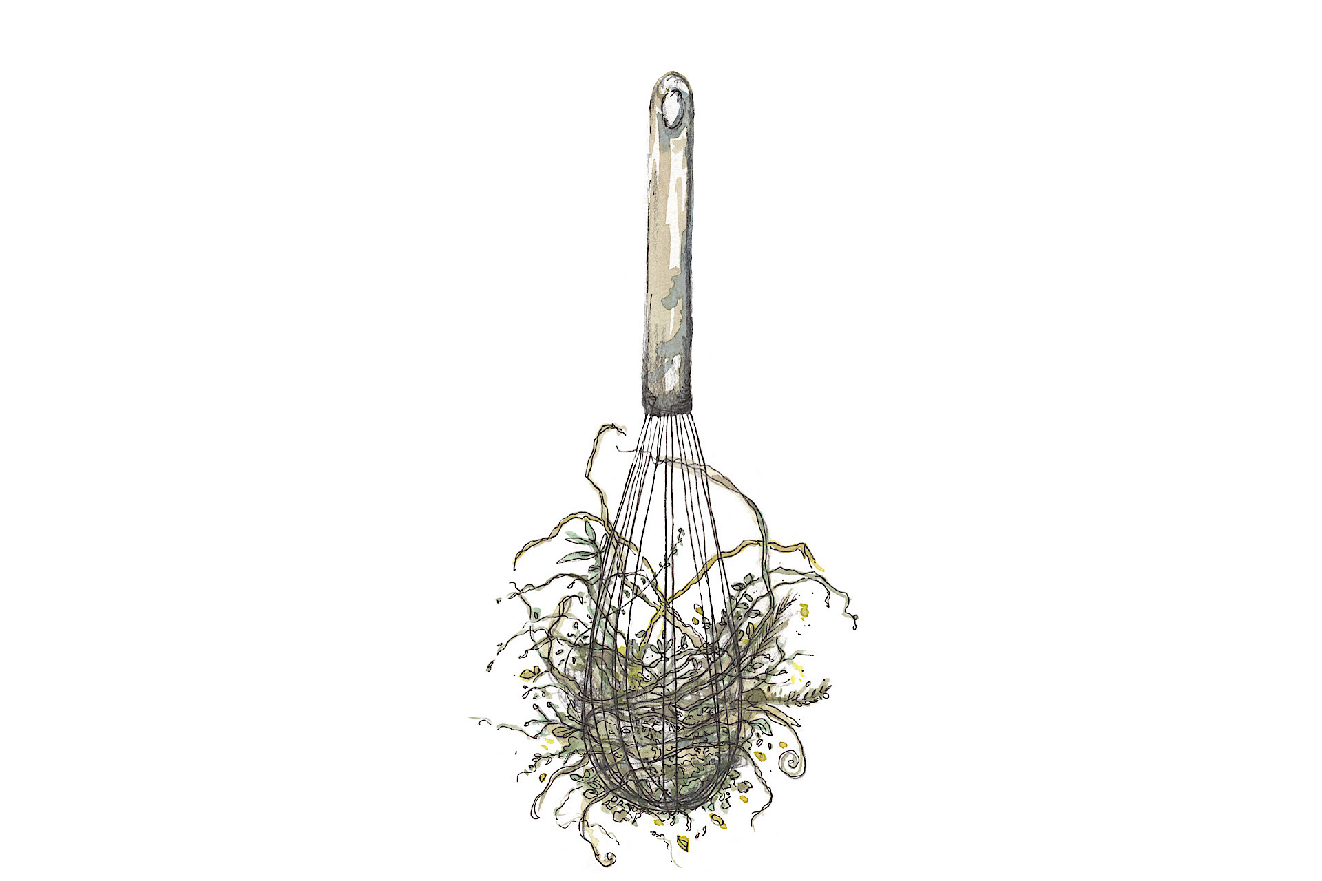 Whisk Whimsy: Nesting Materials for Backyard Birds