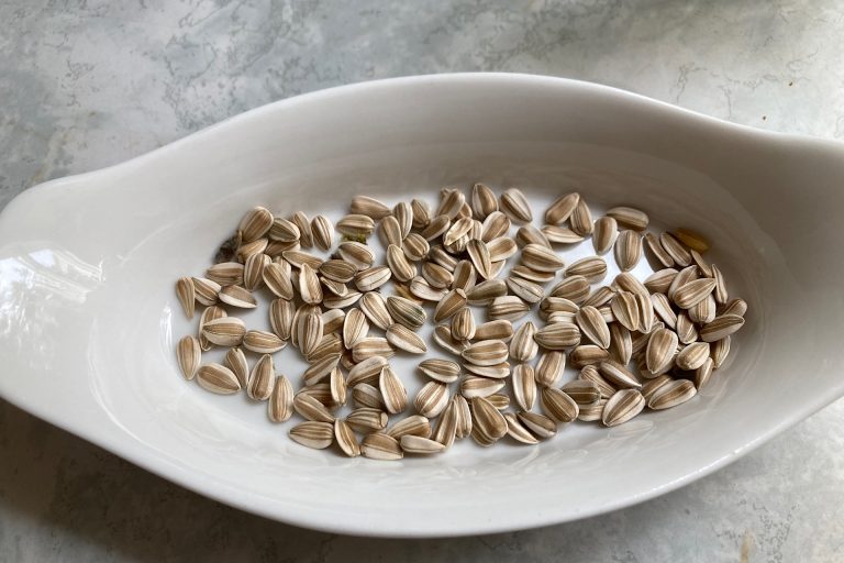 sunflower seeds in white bowl