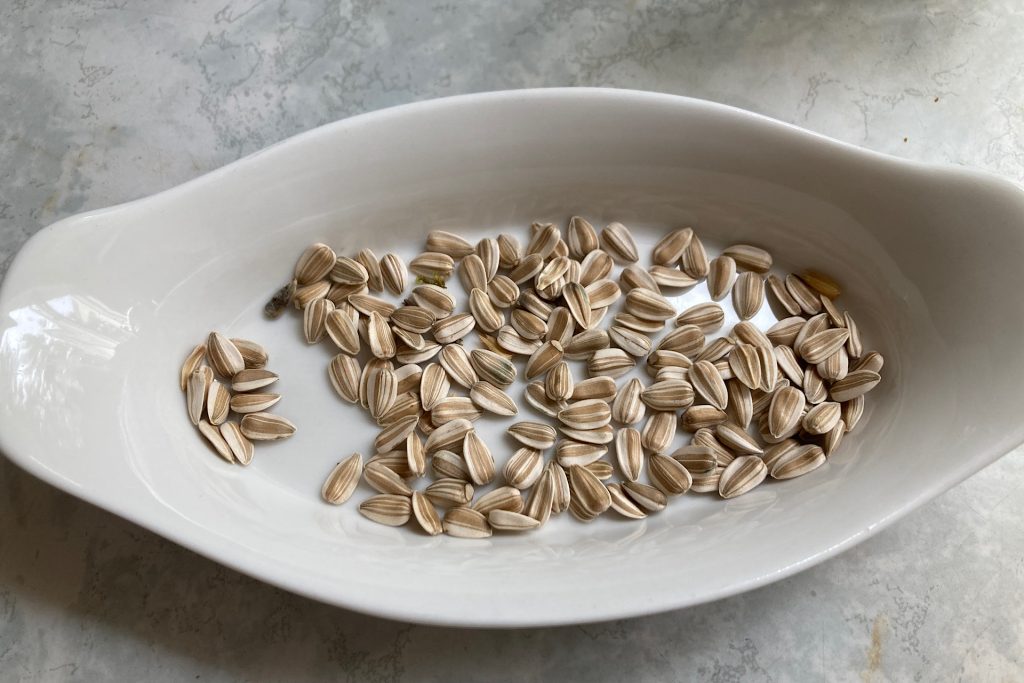 harvested seeds in white dish