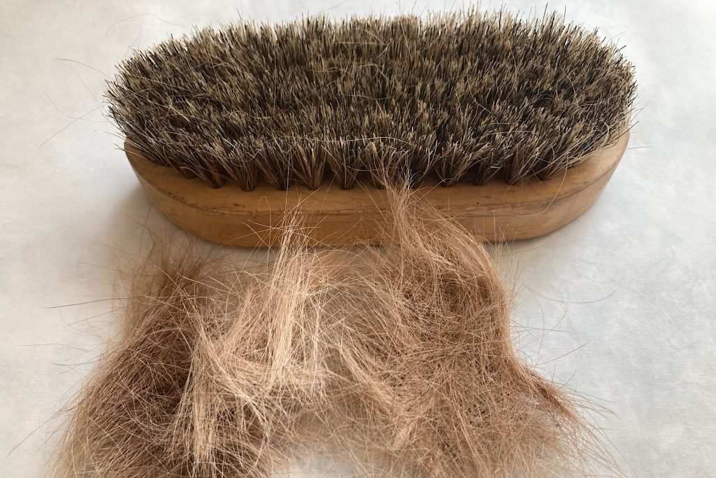 horse hair and grooming brush
