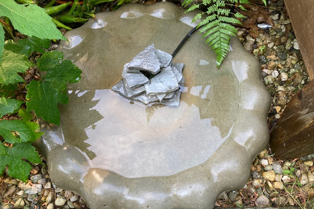 placing fountain in birdbath