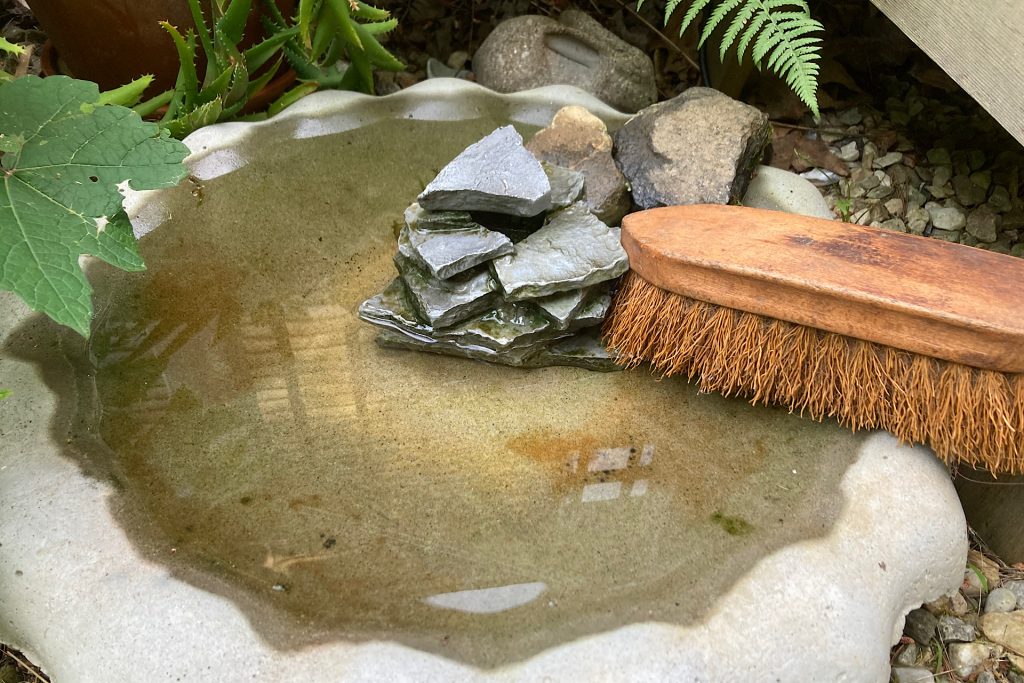 scrub brush in birdbath fountain