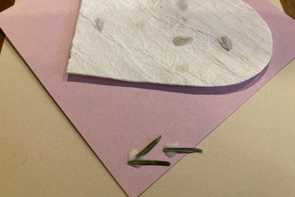 seed paper heart card close-up