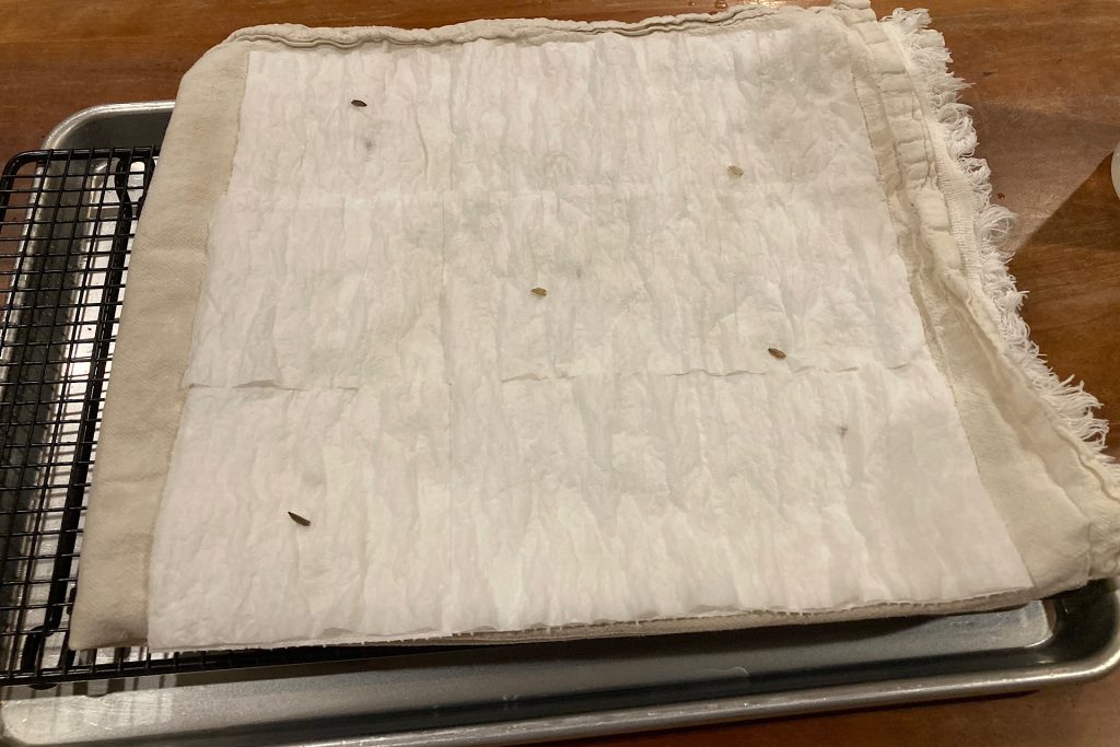 second layer of seeds in handmade valentine seed paper