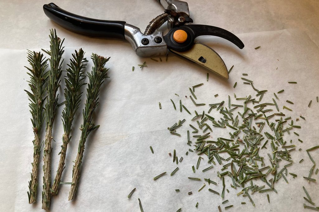 needles removed from Christmas tree cutting