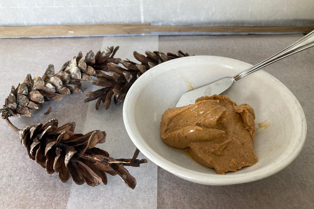 peanut butter and pine cones for healthy winter bird treats