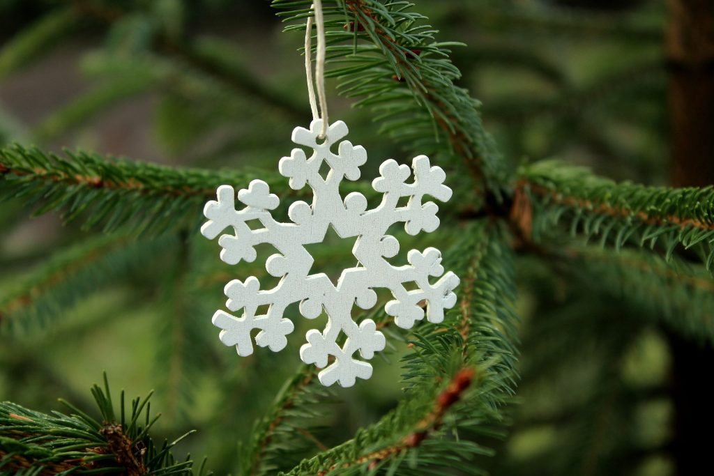 tree branch with snowflake ornament