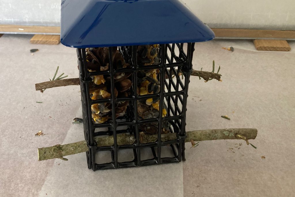 healthy bird treats in suet cage