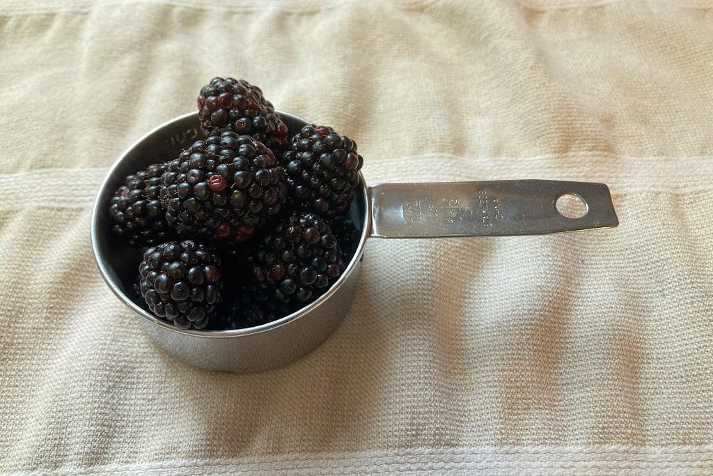 blackberries in measuring cup