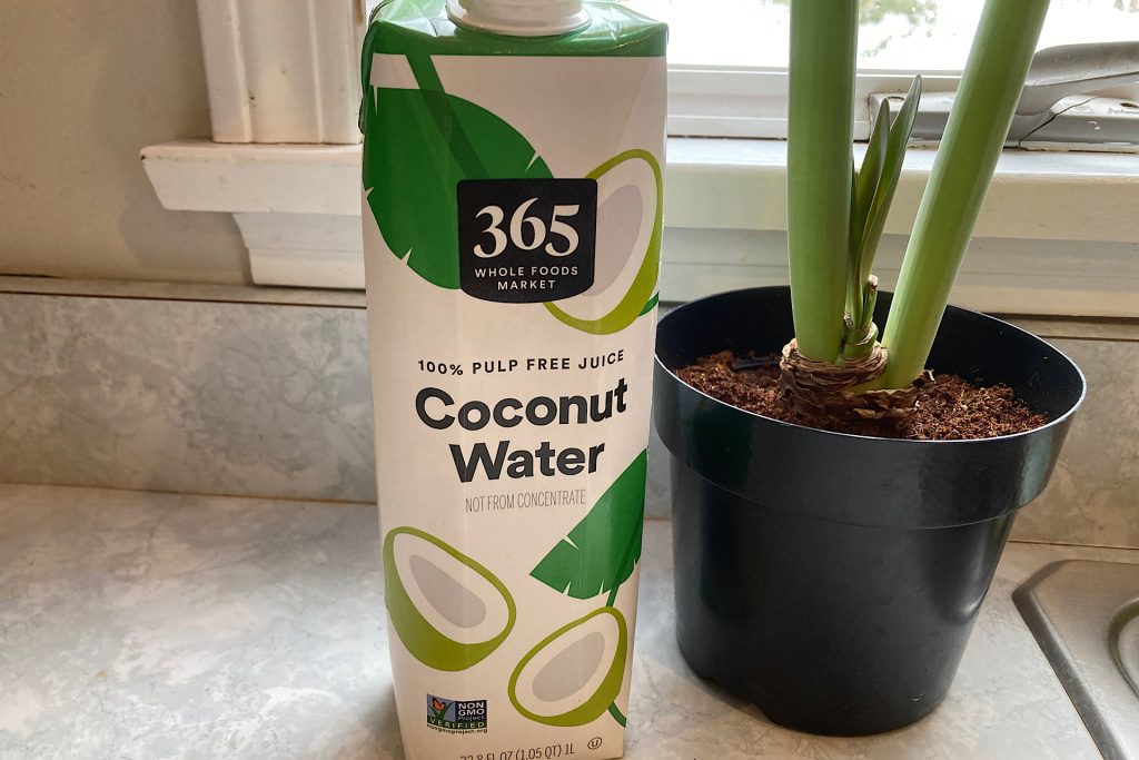 365 brand coconut water container