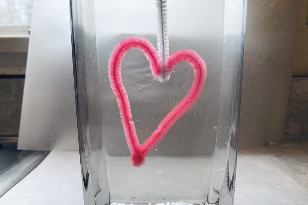 immersing pipe cleaner heart in borax solution