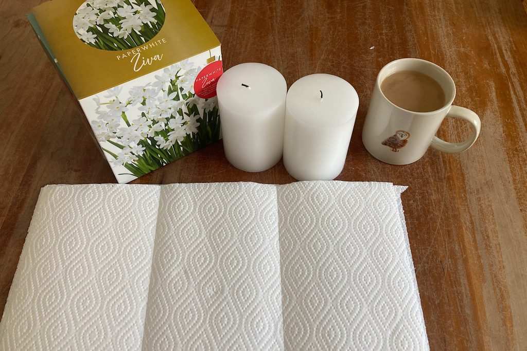 Supplies for DIY paperwhite planter