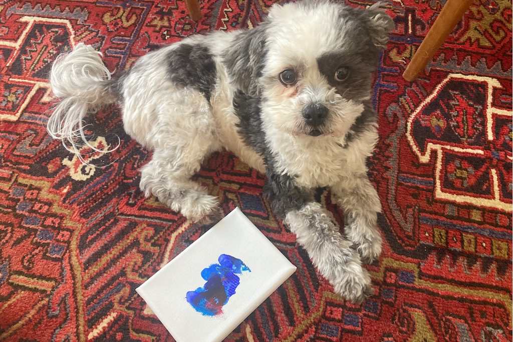 Shih Tzu with painted canvas on oriental rug