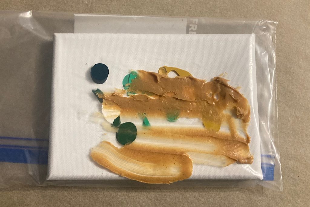 painting canvas set up for dog art inside plastic bag