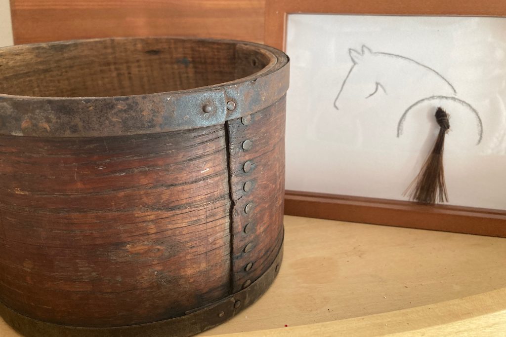 Framed Horse Hair Keepsake Art Closeup