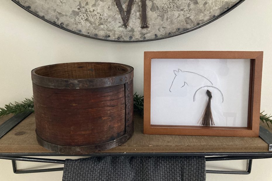 Framed Horse Hair Keepsake Art