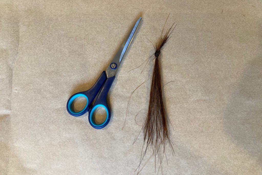 scissors and knotted horse tail hair