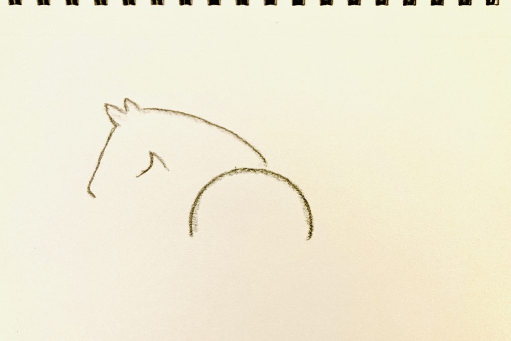 starting line drawing of horse from back