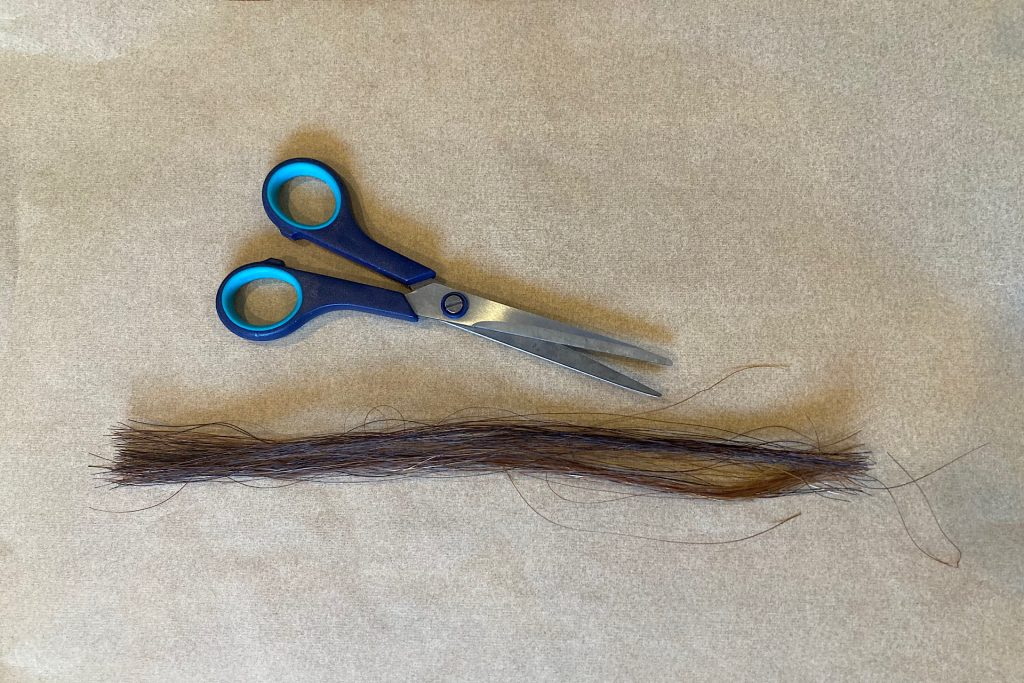 Scissors and Horse Tail Hair