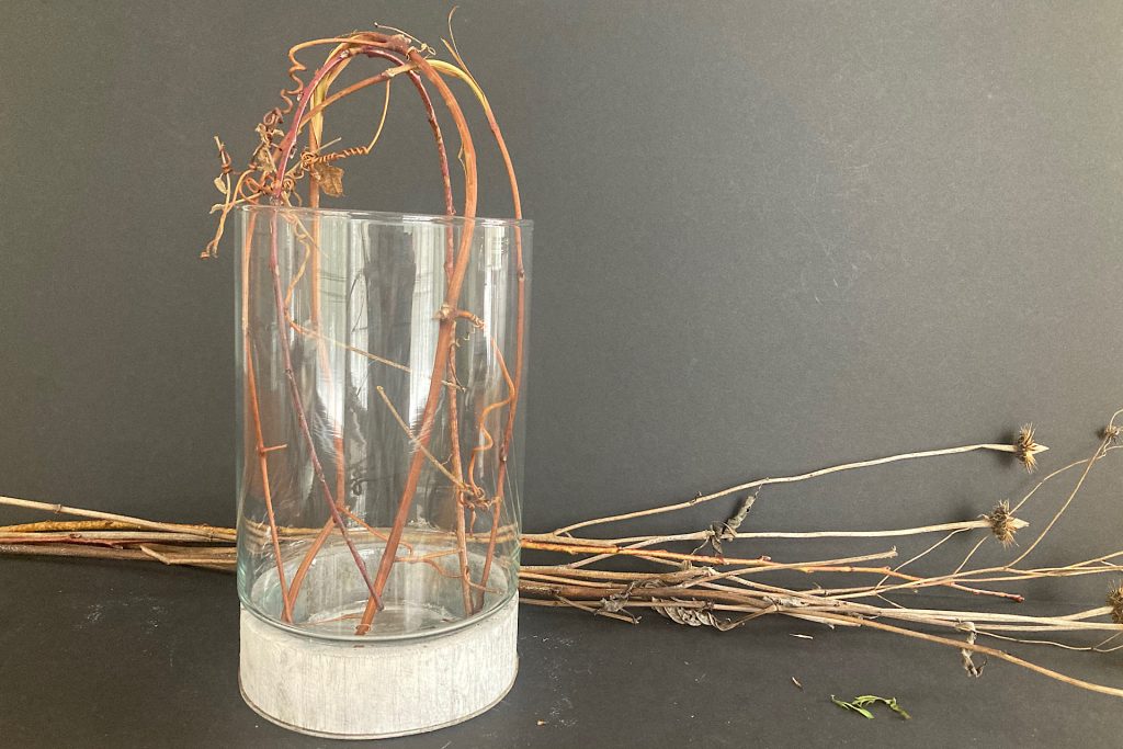 dried twigs arced inside glass vase