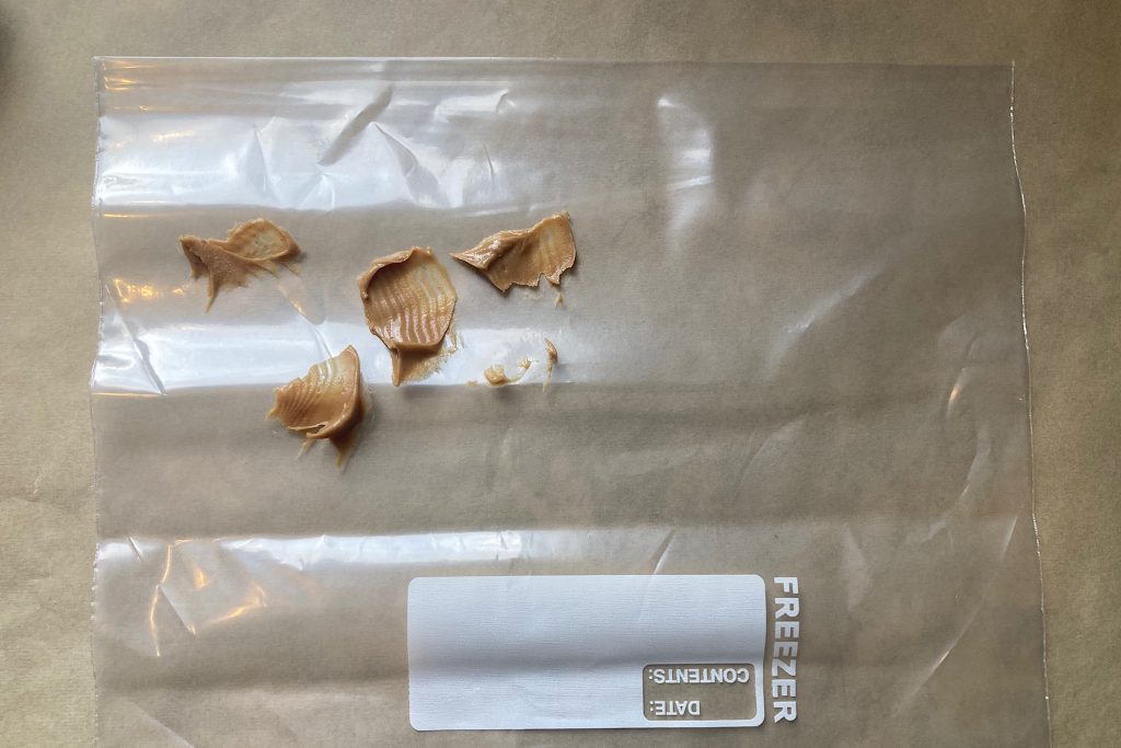 peanut butter smeared on plastic bag for dog painting activity